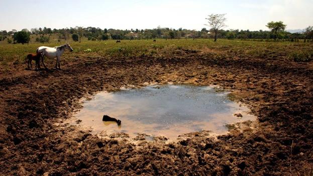 Autoridad para garantizar agua para consumo humano) Atención reactiva a la sequía: SNPC,