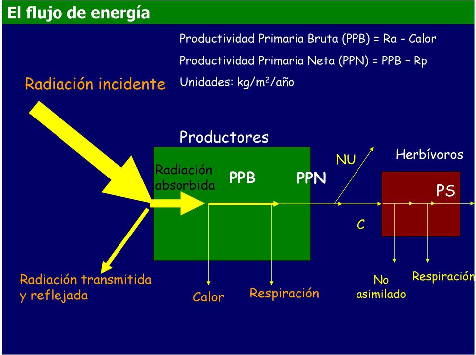 Unidades: kg/m 2 /año Productores Radiación absorbida PPB PPN NU