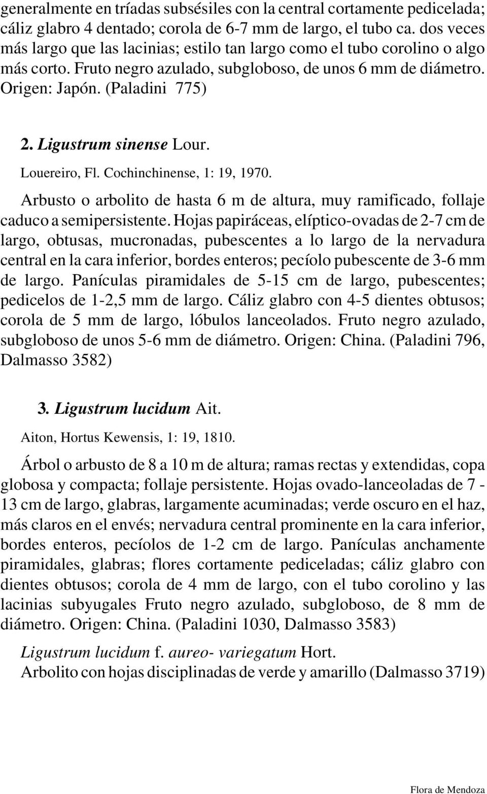 Ligustrum sinense Lour. Louereiro, Fl. Cochinchinense, 1: 19, 1970. Arbusto o arbolito de hasta 6 m de altura, muy ramificado, follaje caduco a semipersistente.