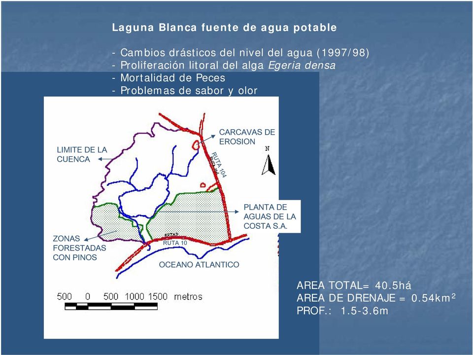 LIMITE DE LA CUENCA CARCAVAS DE EROSION RUTA 104 ZONAS FORESTADAS CON PINOS RUTA 10 OCEANO