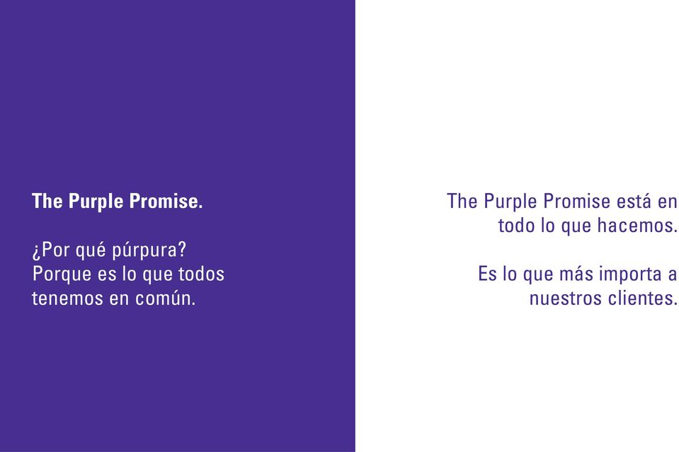 The Purple Promise está en todo lo que