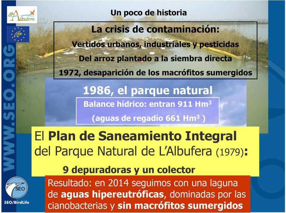 regadío 661 Hm 3 ) El Plan de Saneamiento Integral del Parque Natural de L Albufera (1979): 9 depuradoras y un colector