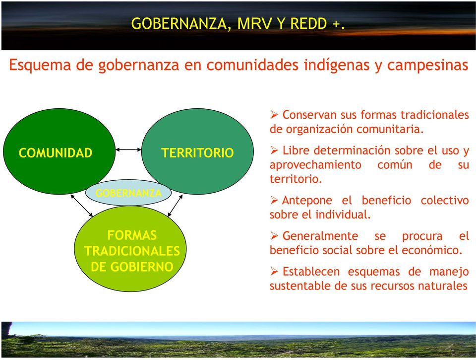COMUNIDAD GOBERNANZA FORMAS TRADICIONALES DE GOBIERNO TERRITORIO Libre determinación sobre el uso y