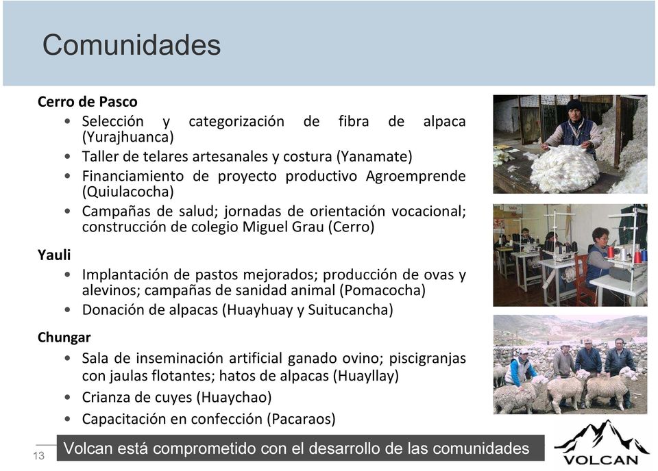 producción de ovas y alevinos; campañas de sanidad animal (Pomacocha) Donación de alpacas (Huayhuay y Suitucancha) Chungar Sala de inseminación artificial ganado ovino;