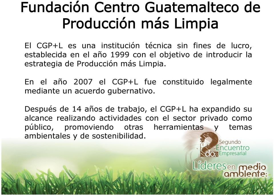 En el año 2007 el CGP+L fue constituido legalmente mediante un acuerdo gubernativo.
