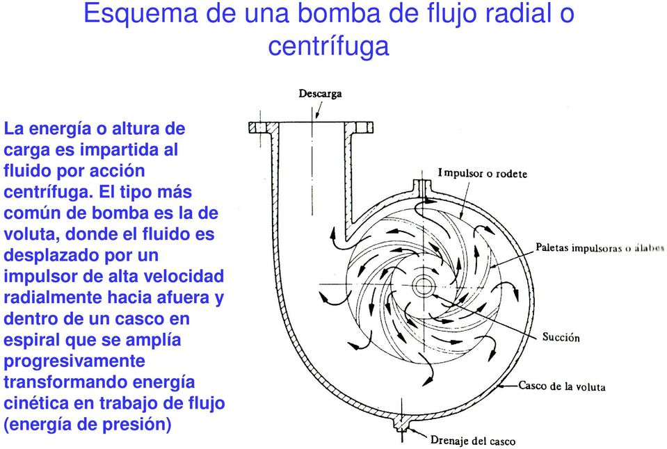 El tipo más común de bomba es la de voluta, donde el fluido es desplazado por un impulsor de alta