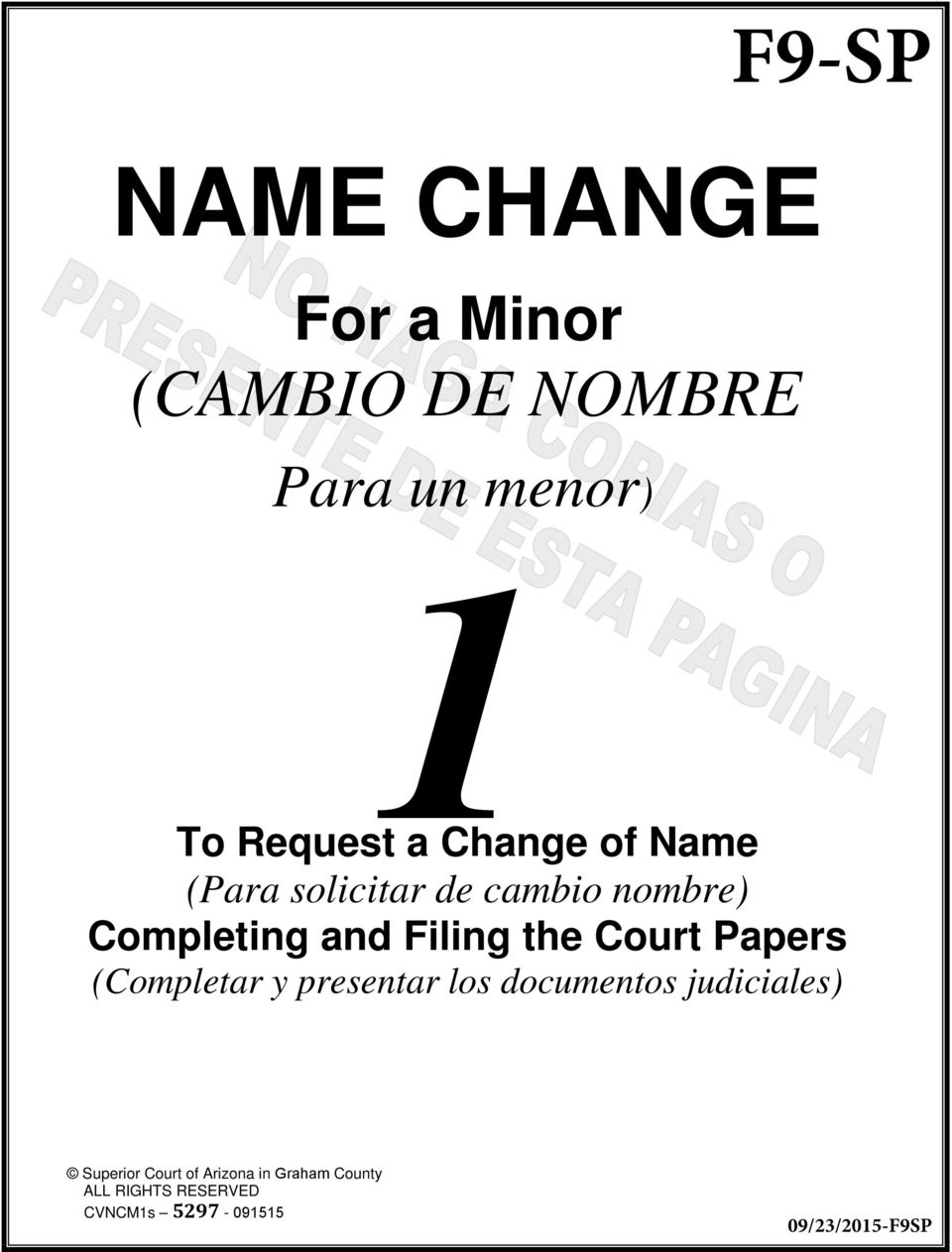 nombre) Completing and Filing the Court Papers (Completar y