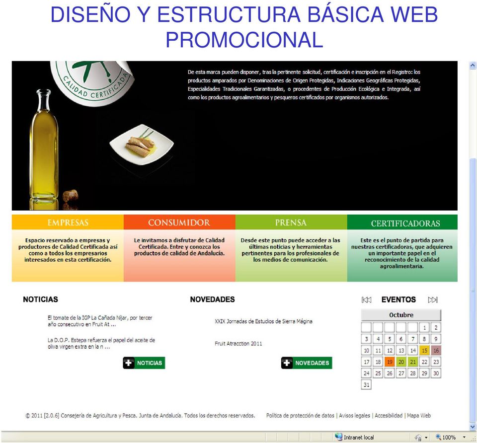 BÁSICA WEB