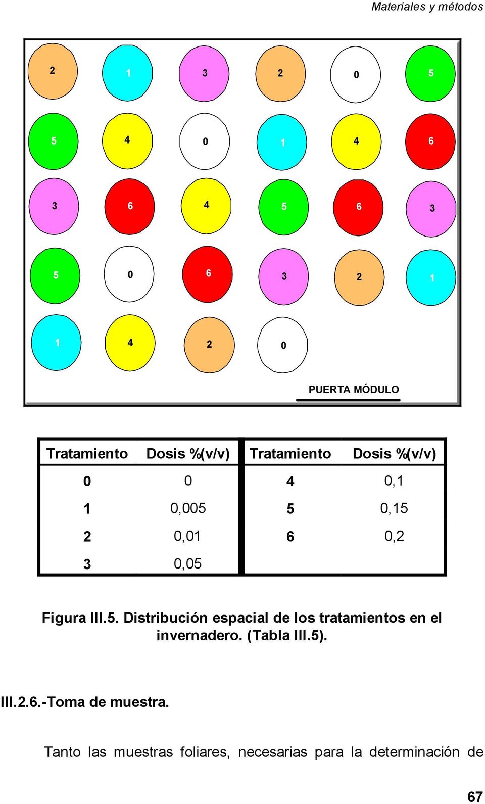 Figura III.5. Distribución espacial de los tratamientos en el invernadero. (Tabla III.