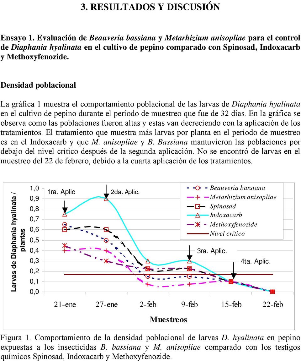 Densidad poblacional La gráfica 1 muestra el comportamiento poblacional de las larvas de Diaphania hyalinata en el cultivo de pepino durante el período de muestreo que fue de 32 días.