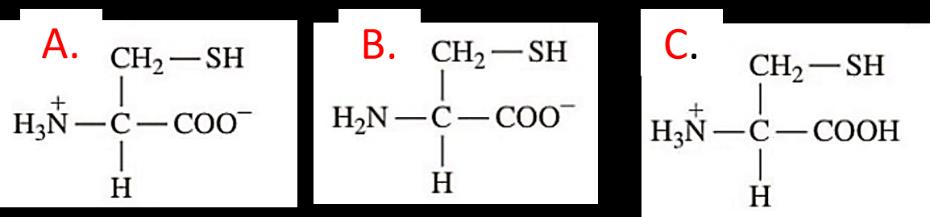 Ejercicio El ph isoeléctrico de la alanina es 6. Cuál de las estructuras corresponde a la Alanina? 1. En su ph Isoeléctrico 2. A un ph menor su ph isoeléctrico 3. A un ph mayor a su ph isoeléctrico C.
