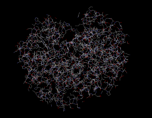 Una proteína tiene miles de átomos diferentes con una ordenación espacial compleja.