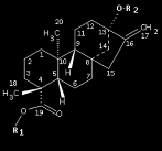 Estructuras Químicas de los Glicósidos de Steviol # Nombre Común Trivial Formula R 1 R 2 1) Steviol + Glucosa (SvGn) 1.1 1.