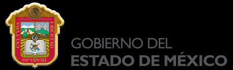 FONDO MIXTO CONACYT - GOBIERNO DEL ESTADO DE MÉXICO CONVOCATORIA EDOMEX-2016-02 FORTALECIMIENTO Y CONSOLIDACIÓN DE LA INFRAESTRUCTURA CIENTÍFICA Y TECNOLÓGICA DEL ESTADO DE MÉXICO El Gobierno del