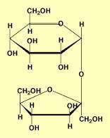2)-b-D-Fructofuranosa Lactosa