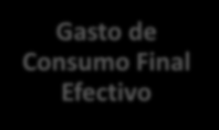 Gobierno General Gasto de Consumo Final y Efectivo en el año 2013 Qué institución realiza el gasto?