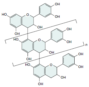 Taninos Condensados Son oligómeros o polímeros de unidades de flavonoides (es decir, flavan-3-ol) unidos por enlaces carbono-carbono no son susceptibles de división de la hidrólisis.
