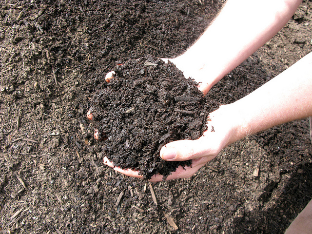 Dentro de las opciones que tenemos para mejorar el contenido de materia orgánica de los suelos agrícolas - Ácidos