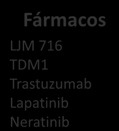 716 TDM1 Trastuzumab Lapatinib