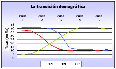Etapas de la transición demográfica Fase 5 o fase de crecimiento cero La tasa de natalidad se mantiene baja, mientras que la mortalidad aumenta ligeramente debido al envejecimiento de la población.
