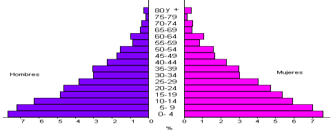 Estructura de la población según grupos de edad y sexo.