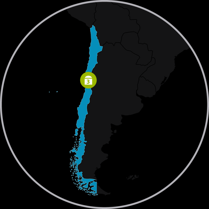 GNL Quintero GNLQ es un activo clave del mercado energético central chileno, cuyo suministro de gas depende en gran medida de la importación de GNL.