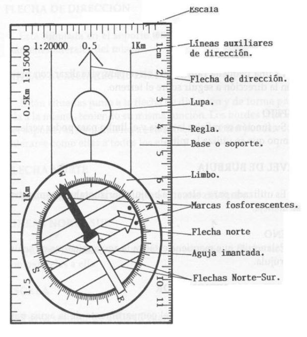 LA BRÚJULA La brújula es un instrumento sencillo que consiste básicamente en una aguja imantada que gira libremente sobre un eje ante las propiedades magnéticas terrestres.