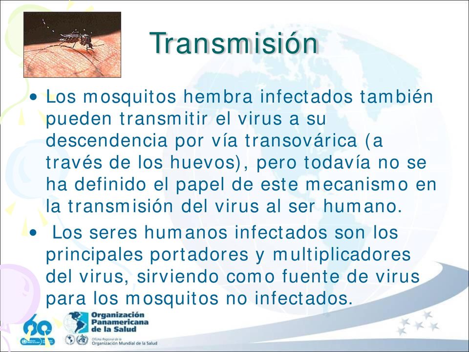 mecanismo en la transmisión del virus al ser humano.