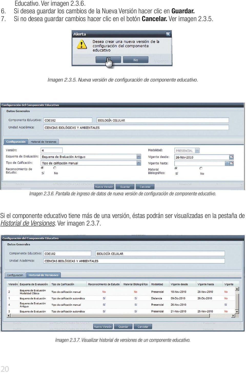 Imagen 2.3.6. Pantalla de ingreso de datos de nueva versión de configuración de componente educativo.