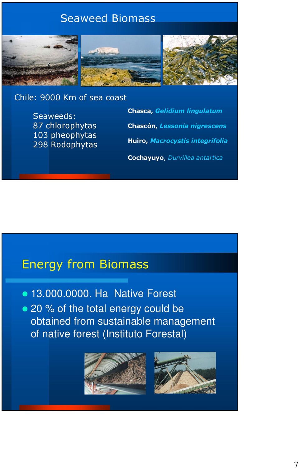 Macrocystisintegrifolia Cochayuyo, Durvilleaantartica Energy from Biomass 13.000.0000.