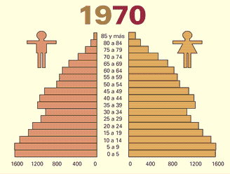 Pirámide de población (pirámide de Burgdöfer) Es una doble distribución de frecuencias de edad Se acostumbran a usar
