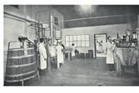 INICIO Fundada en 1941 con el nombre de Sueros y Vacunas que posteriormente daría nombre a la empresa: SYVA.