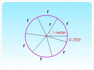 Medid de ángulos Se llm rdián l mplitud del ángulo centrl de un circunferenci cuyo rco mide lo mismo que su rdio.
