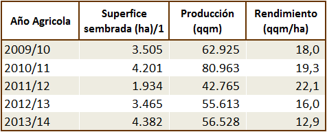 Leguminosas y Tubérculos Región del Biobío: Superficie Sembrada por tipo de Cultivo, Otros/2 1,8% Papa 61,6% Poroto 31,7% Garbanzo 1,1% Lenteja 3,8% Las hectáreas sembradas de leguminosas y