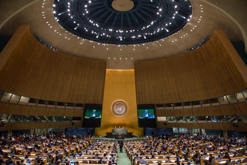 En diciembre de 2010, la Asamblea General de Naciones Unidas (ONU), designó al año 2012 como el Año Internacional de la