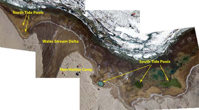 Zona científica Caleta Explorers Ubicación: New Harbor, valle de Taylor Dos componentes centrados en: Charcas de marea norte (490 m 2 ): 77 o 34,57' S, 163 o 30,79' E; y Charcas de marea sur (4360 m