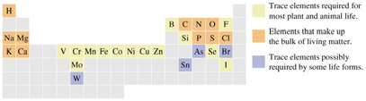 24.1 Estructura química de la materia viva : Introducción a la bioquímica 24.1 Estructura química de la materia viva 24.2 Lípidos 24.3 Hidratos de carbono 24.
