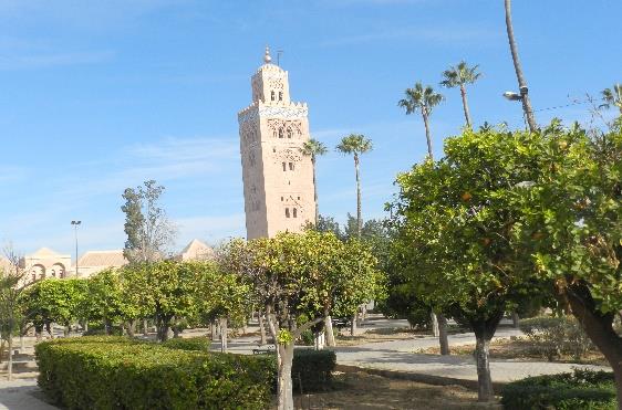 Día 9 septiembre: Merzouga - Gargantas del Todra - Valle de Rosas - Marrakech: Desayuno. Salimos hacia los palmerales de Touroug y Tinjdad.