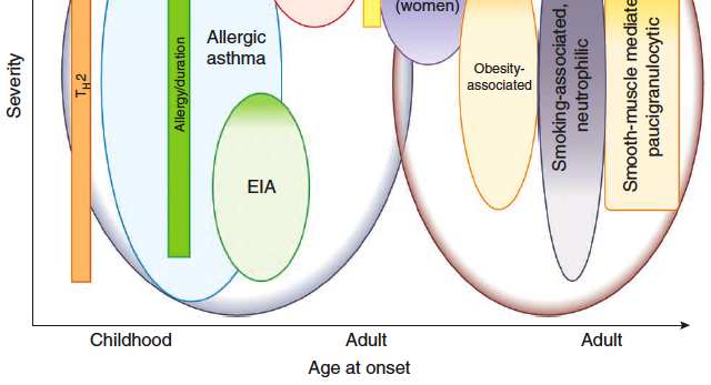 Posibles fenotipos en el asma