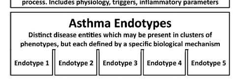Endotipos en el asma Lötval J et al.