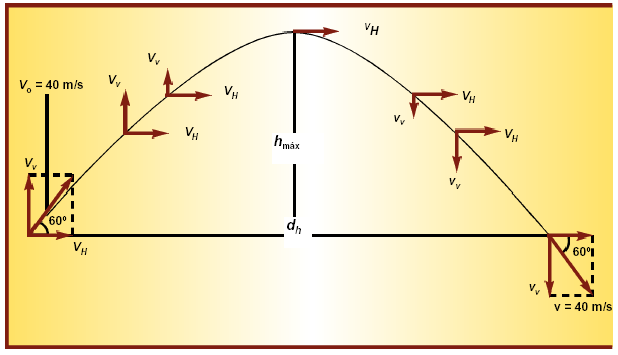 MOVIMIENTO EN DOS DIMENSIONES (TIRO PARABÓLICO) Se caracteriza por la trayectoria que sigue un cuerpo cuando es lanzado con una velocidad inicial que forma un ángulo con el eje horizontal.