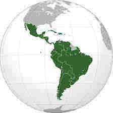 Perfil de los productores en América Latina Dos sub regiones productivas: Cono Sur (Argentina, Chile, Uruguay): - Estructura productiva relativamente homogénea - Fincas de mayor tamaño relativa