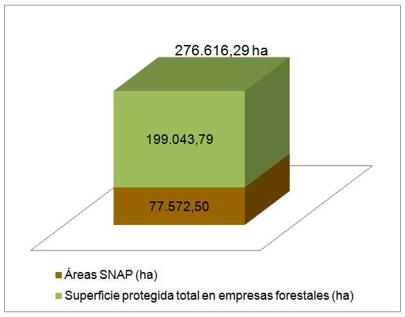 54 4.5 SÍNTESIS DE LA SUPERFICIE PROTEGIDA EN EMPRESAS FORESTALES Y EN EL SNAP A continuación se representa gráficamente la síntesis del procesamiento de datos (figura No. 19).