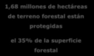 la superficie forestal protegida