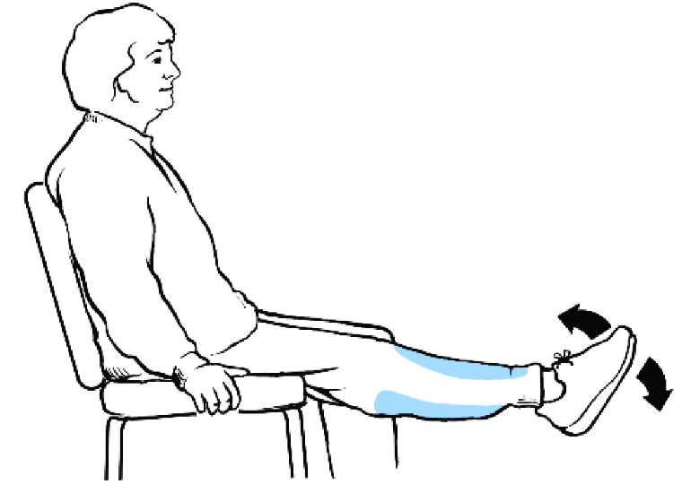 Estiramiento de piernas (parte delantera y posterior de la pierna y tobillo) Siéntese erguido con los pies apoyados en el piso. Tome el asiento de la silla para mantener el equilibrio.
