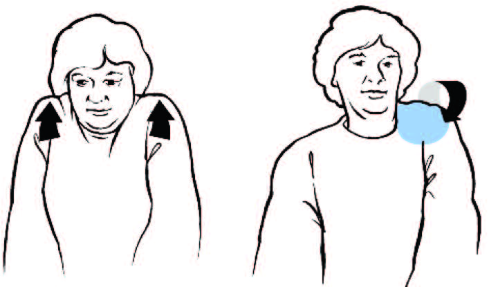 Encogimiento y rotación de hombros (hombros, parte superior de la espalda y pecho) Póngase de pie o siéntese erguido. Encoja los hombros hasta las orejas.