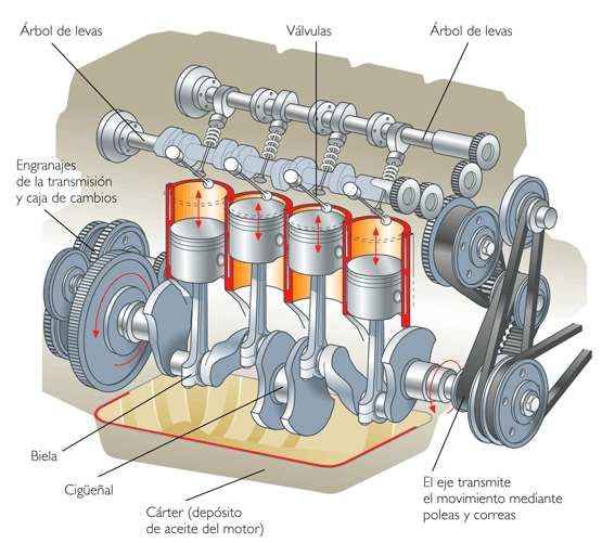 Cuando la biela produce el movimiento motriz (como en el caso de un "pistón" en el motor de un automóvil), la manivela se ve obligada a girar.