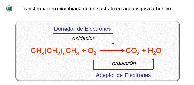 Ilustración 3 Esquema general de la biodegradación de Hidrocarburos Ilustración 4 Ejemplo de Reacción de