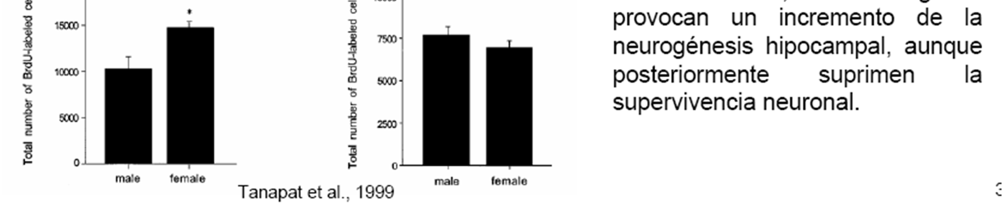 Hormonas sexuales, aprendizaje y plasticidad Los estrógenos producen un incremento de espinas dendríticas en CA1 hipocampal (McEwn et al., 1993).