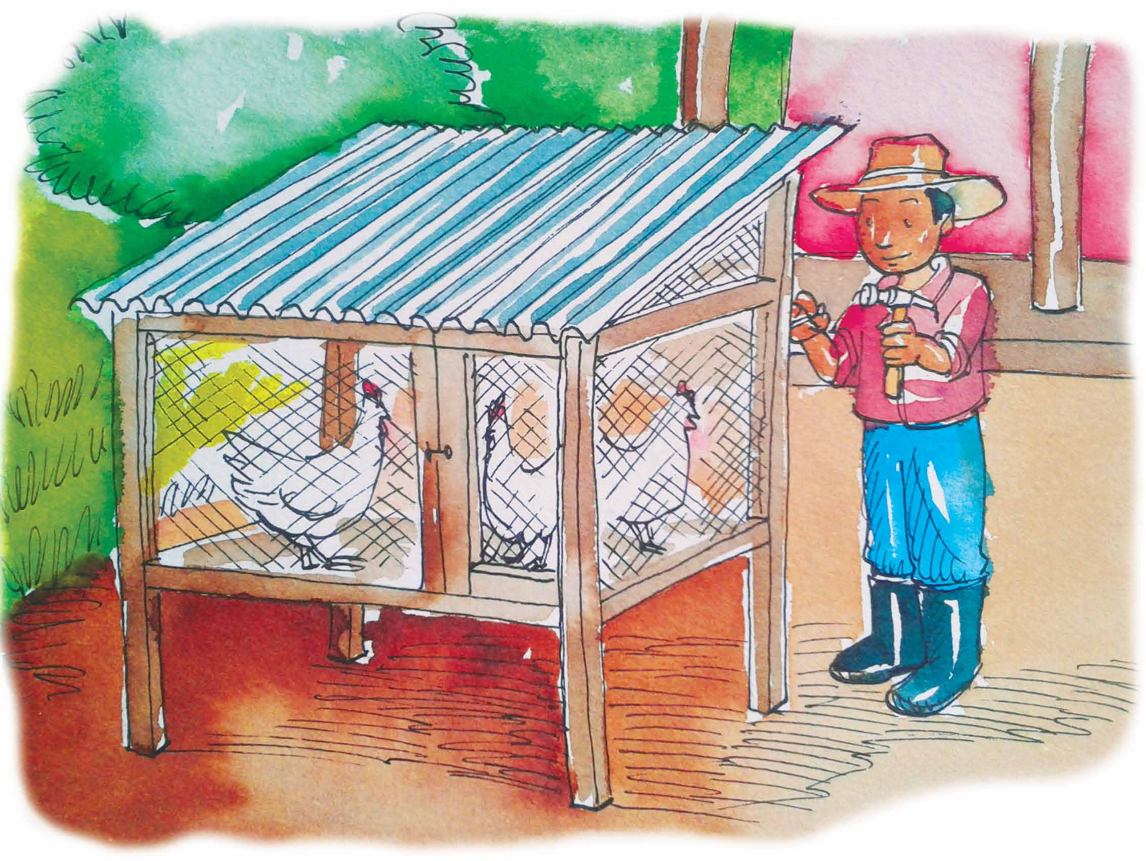 Elemento pecuario Animales de patio Crianza de aves 1. Cómo iniciar la crianza? 2. Qué se debe tomar en cuenta para seleccionar las aves? 3.